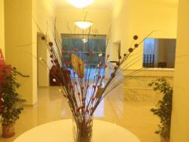 Amalia (adults Only) Hotel